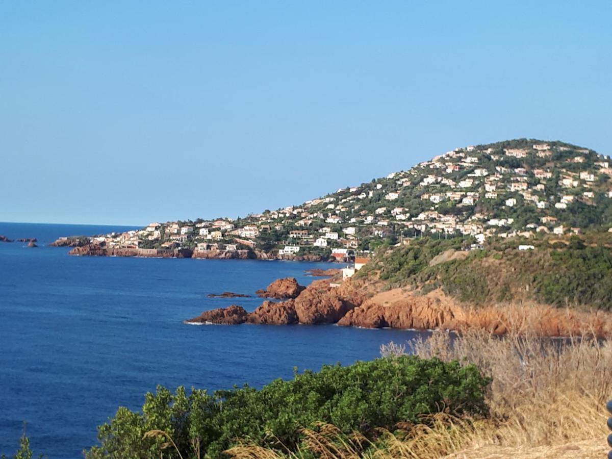 Frejus Plage T2, Piscine, Parking, Plages A 200M Εξωτερικό φωτογραφία