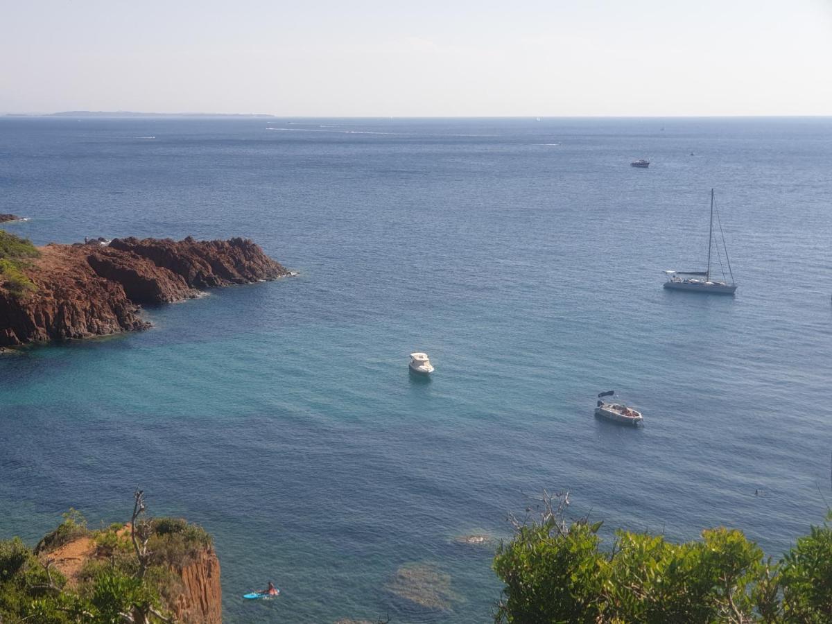 Frejus Plage T2, Piscine, Parking, Plages A 200M Εξωτερικό φωτογραφία